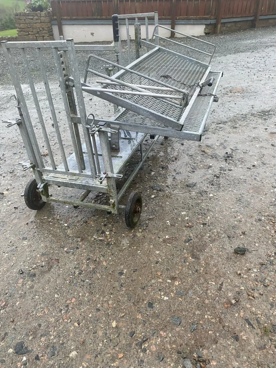 Sheep turnover crate - Image 1