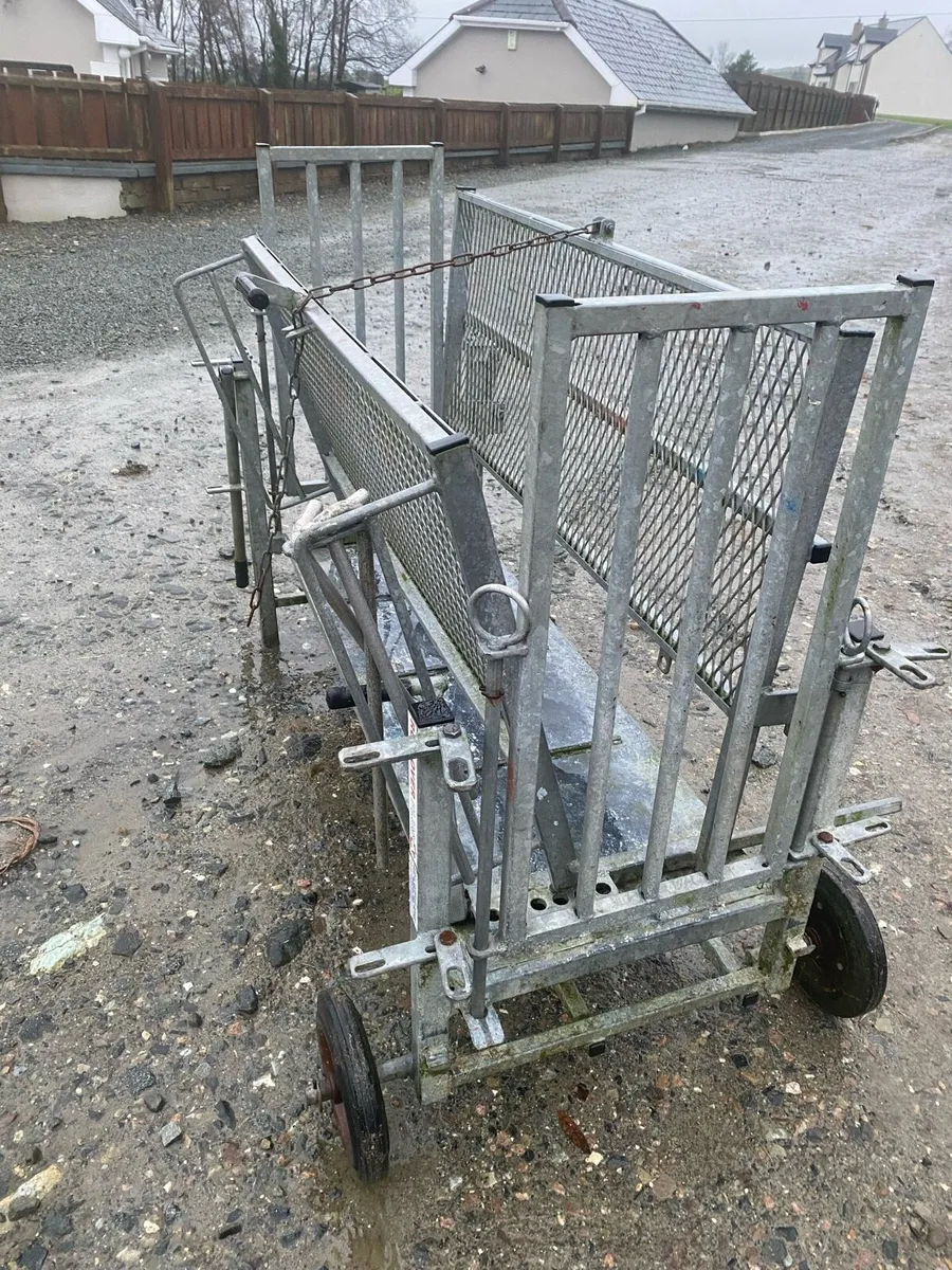 Sheep turnover crate - Image 2
