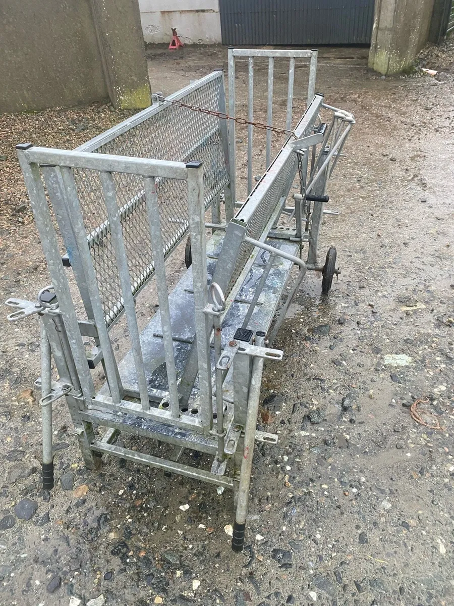 Sheep turnover crate - Image 3