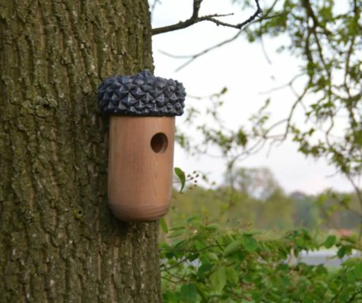Bird Houses & Dovecot Boxes Available - Image 2