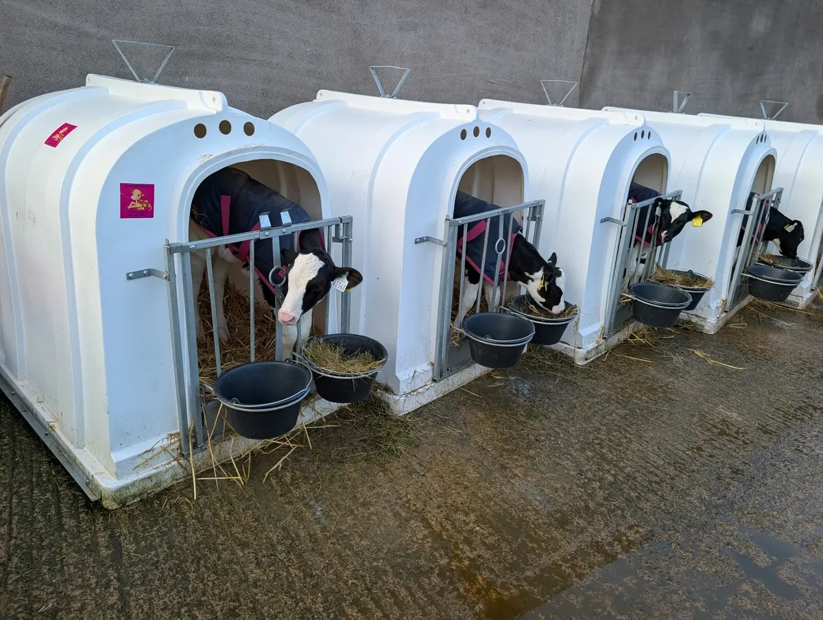Calf Hutch - Image 1