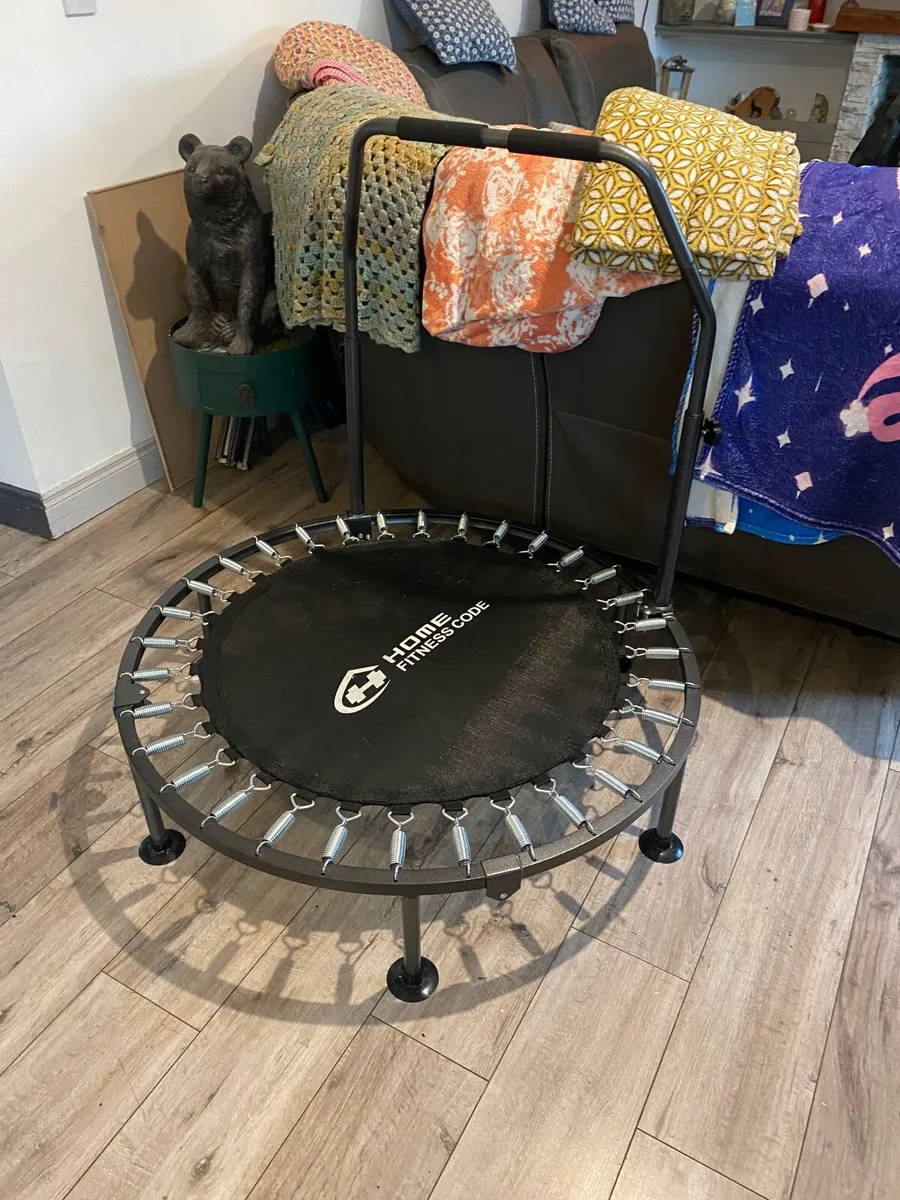 Trampoline / Rebounder - Image 1