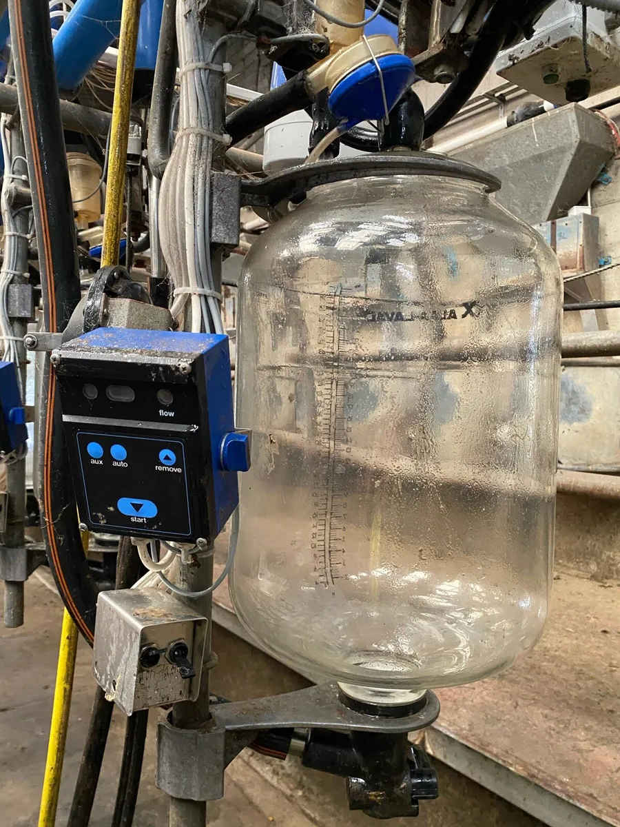 12 unit de laval milking parlour - Image 1