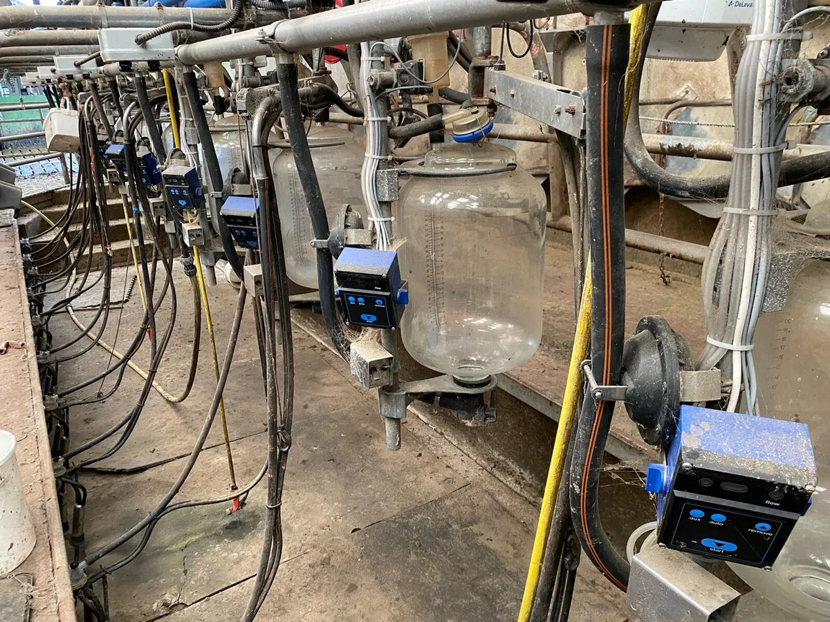 12 unit de laval milking parlour - Image 2