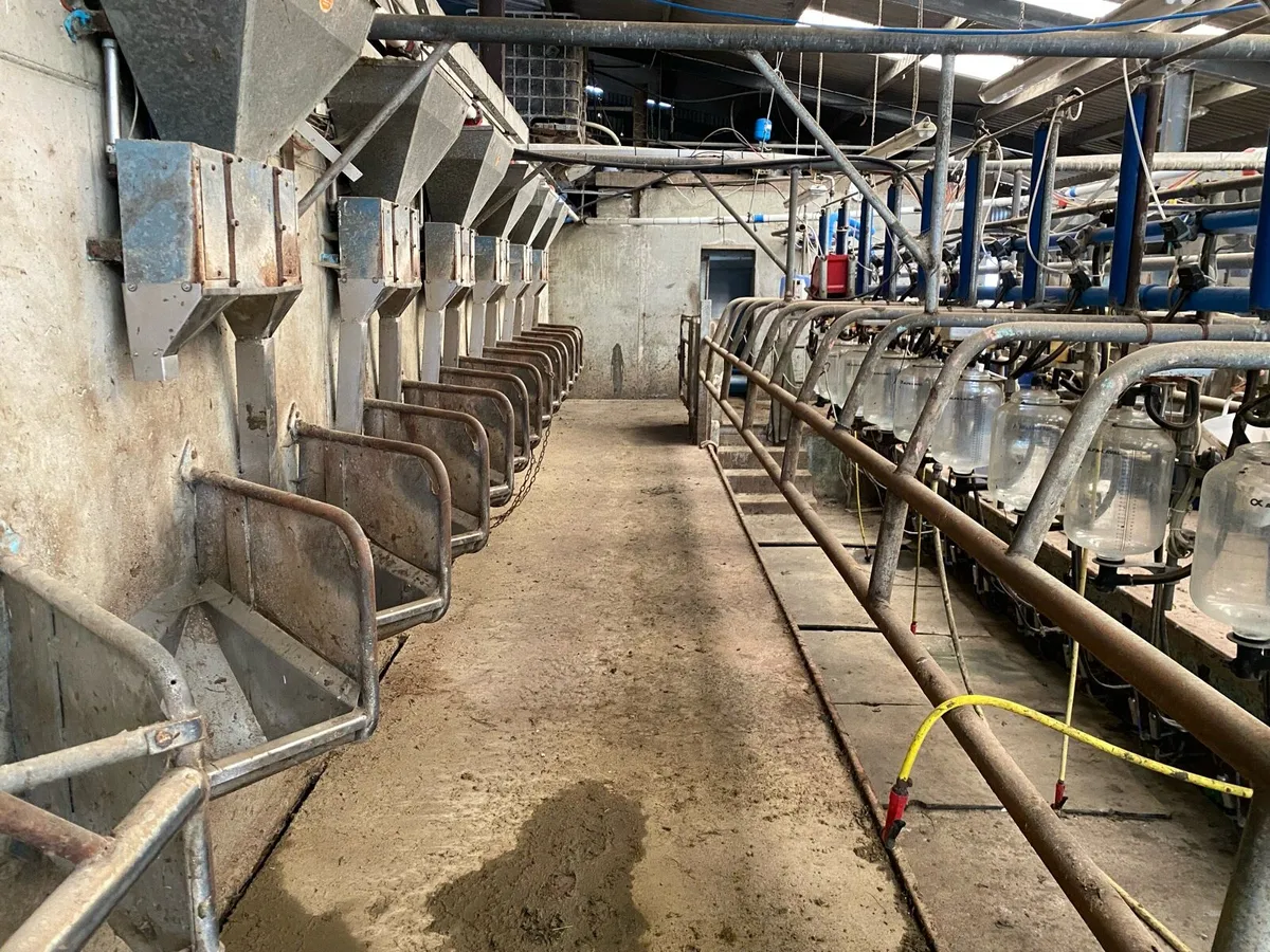 12 unit de laval milking parlour - Image 3