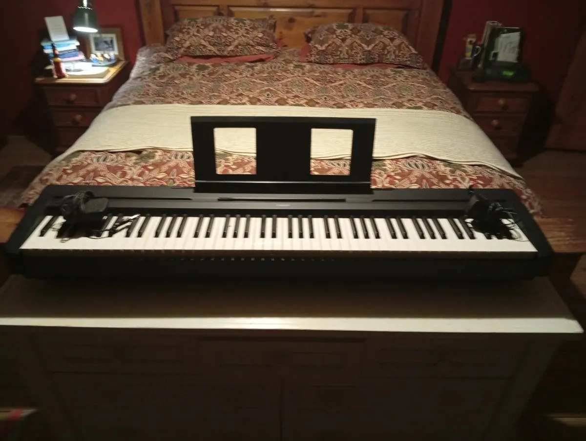 Keyboard and stand/foot pedal - Image 1