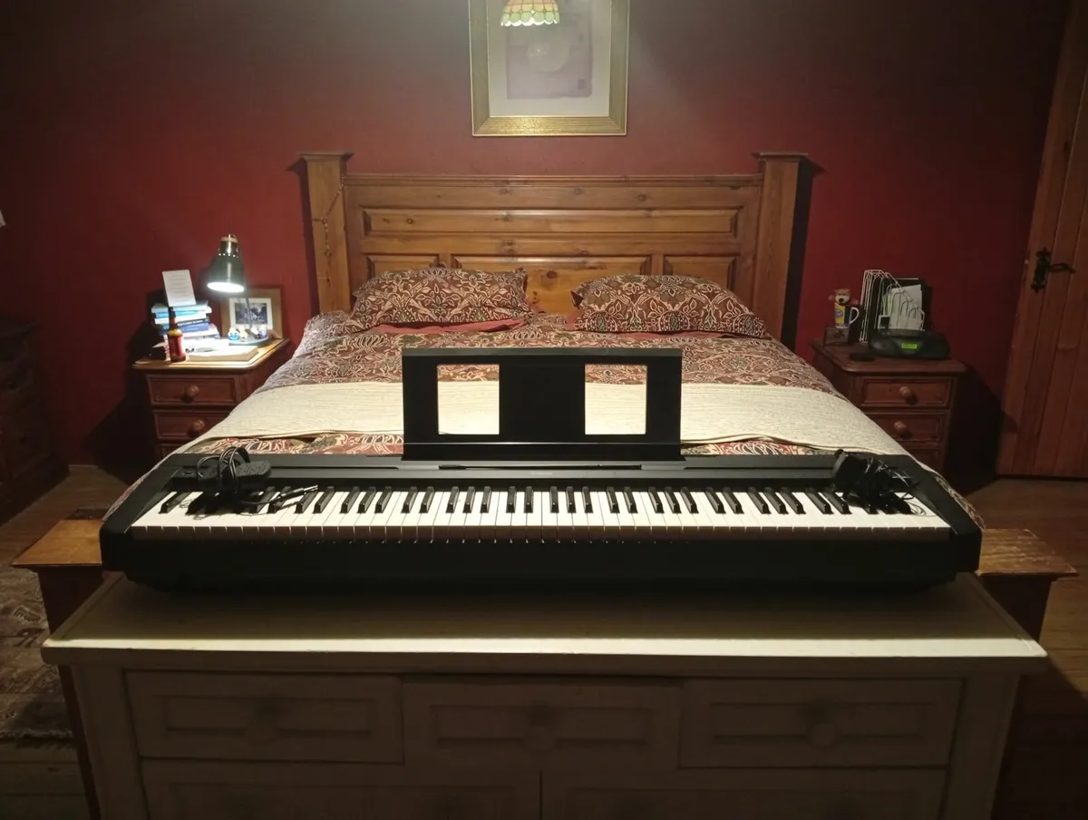 Keyboard and stand/foot pedal - Image 2