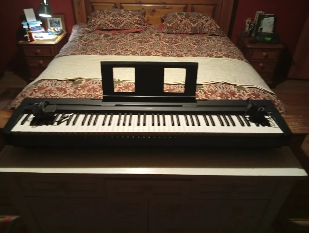 Keyboard and stand/foot pedal - Image 4