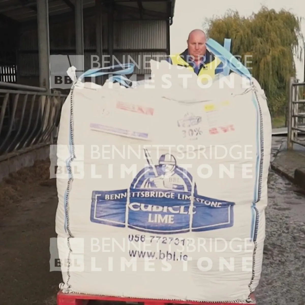 Cubicle Lime - Bennettsbridge Limestone - Image 3