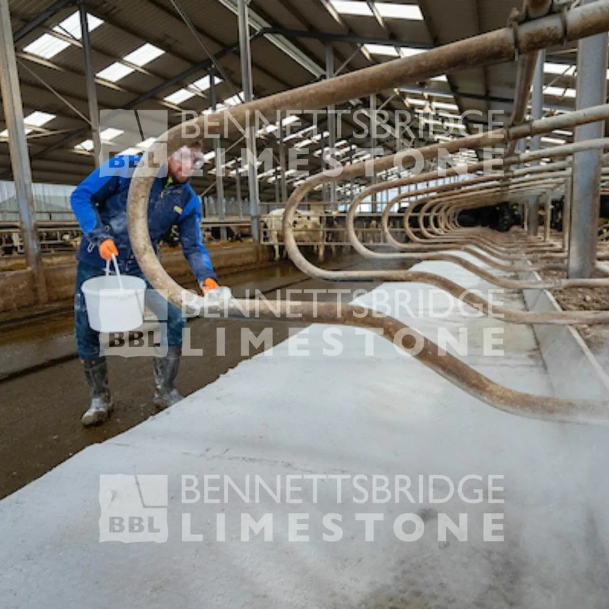 Cubicle Lime - Bennettsbridge Limestone - Image 1