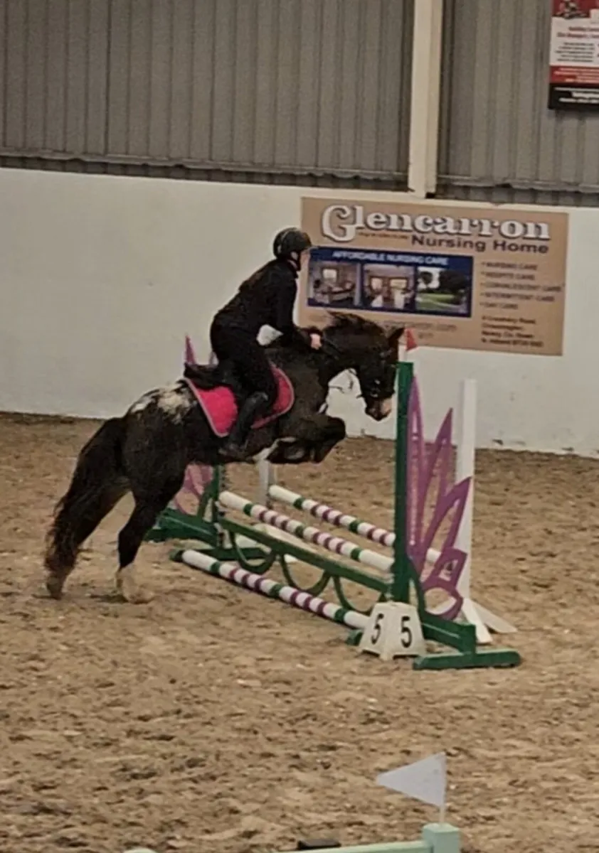 Super safe pony 🐎 - Image 1