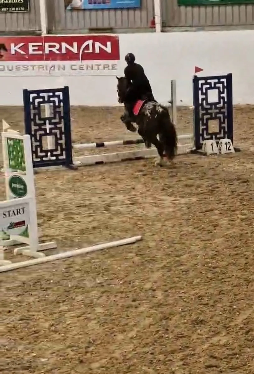 Super safe pony 🐎 - Image 2