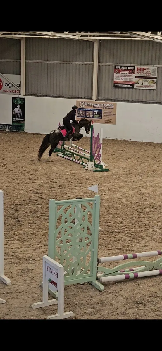 Super safe pony 🐎 - Image 4