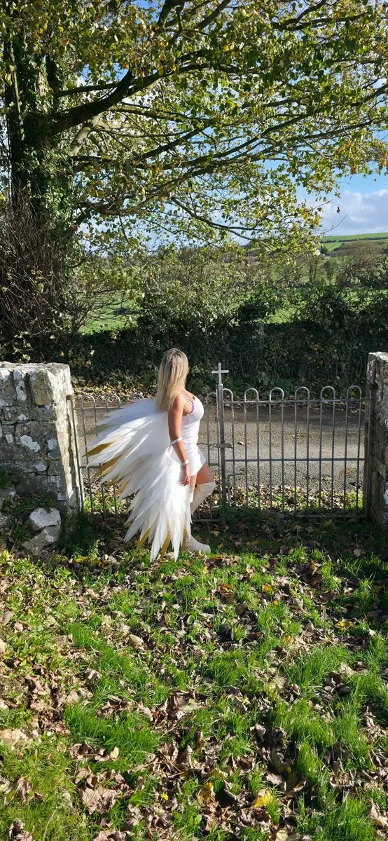 Angel wings - Image 3