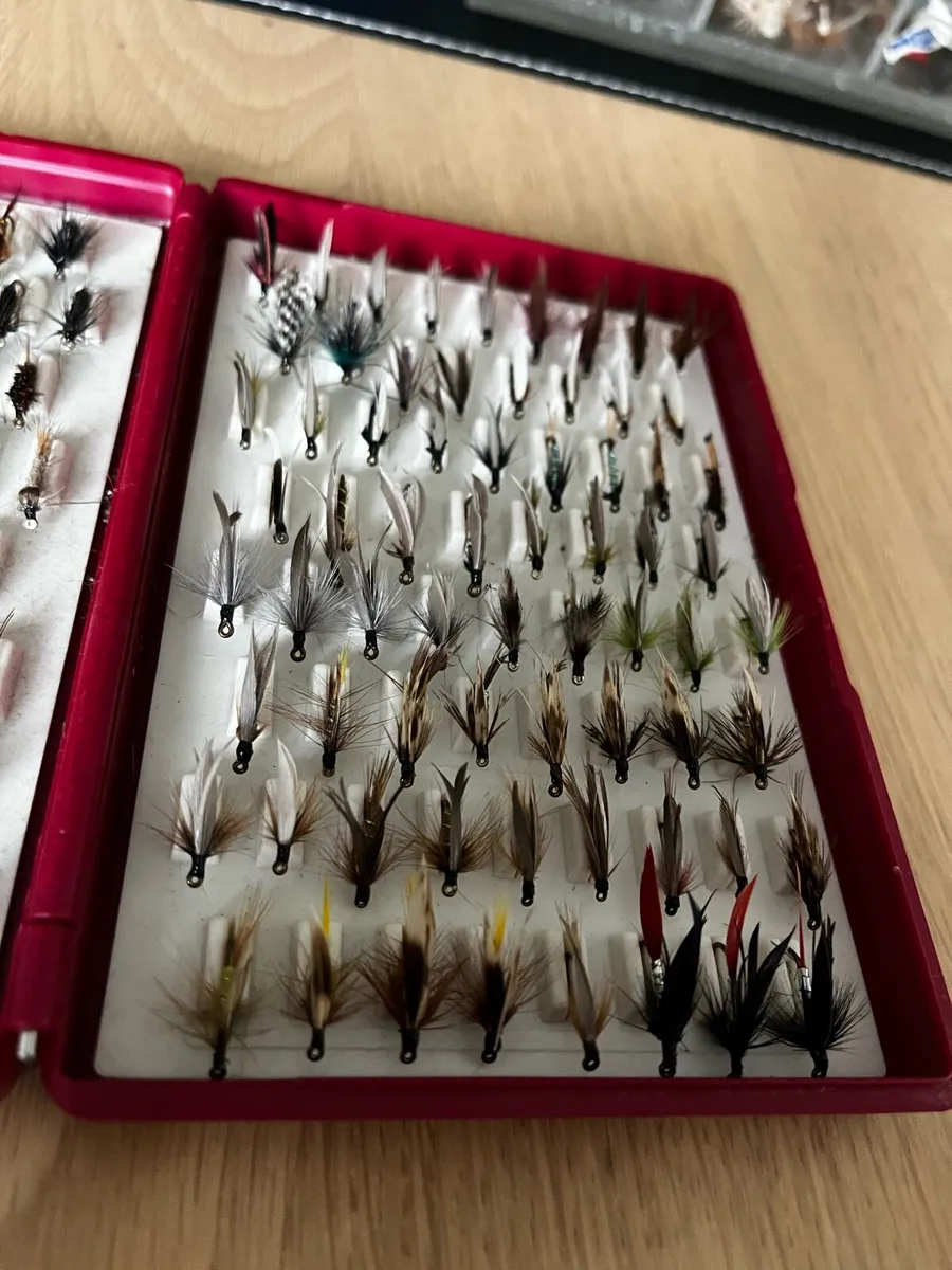 Fly fishing flies + Fox Box - 136 new flies - Image 2