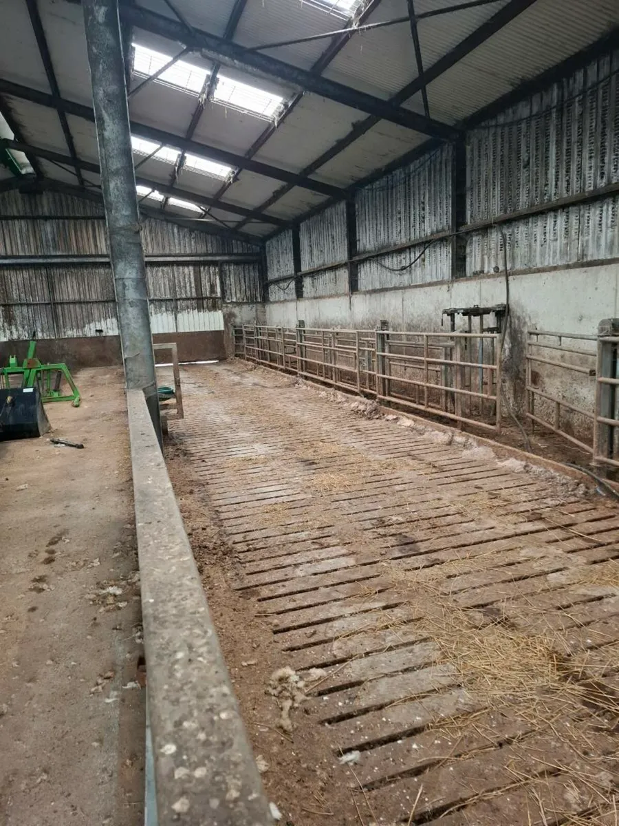 Slatted shed for rent - Image 2