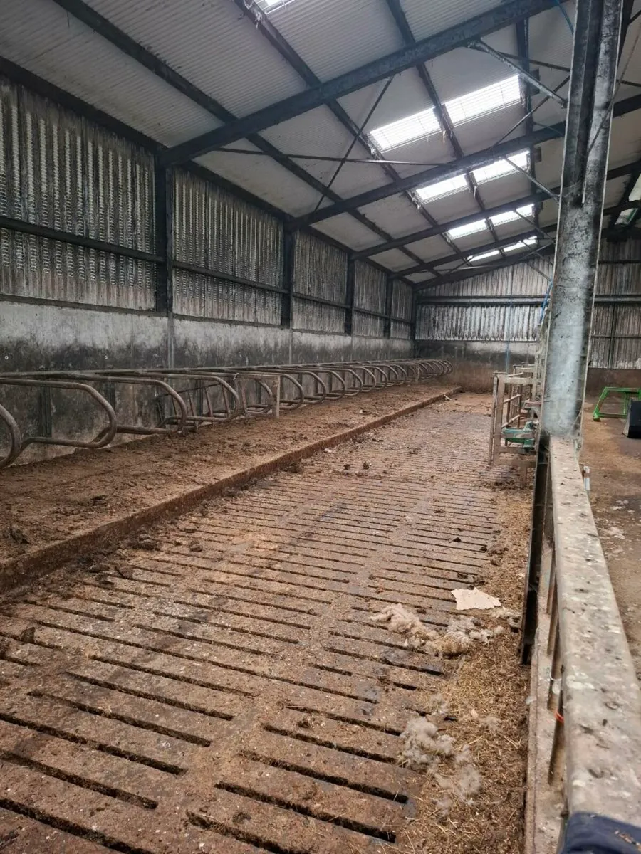 Slatted shed for rent - Image 3