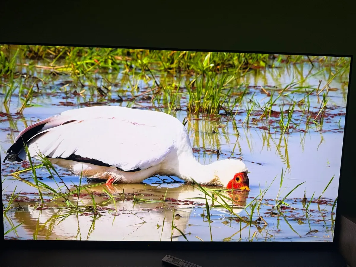 Sony A95K 55” QD-OLED TV - Image 1