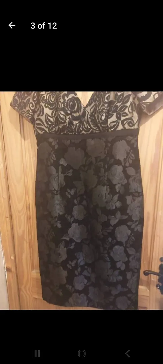 Michel Ambers rose brocade dress (free post) - Image 3