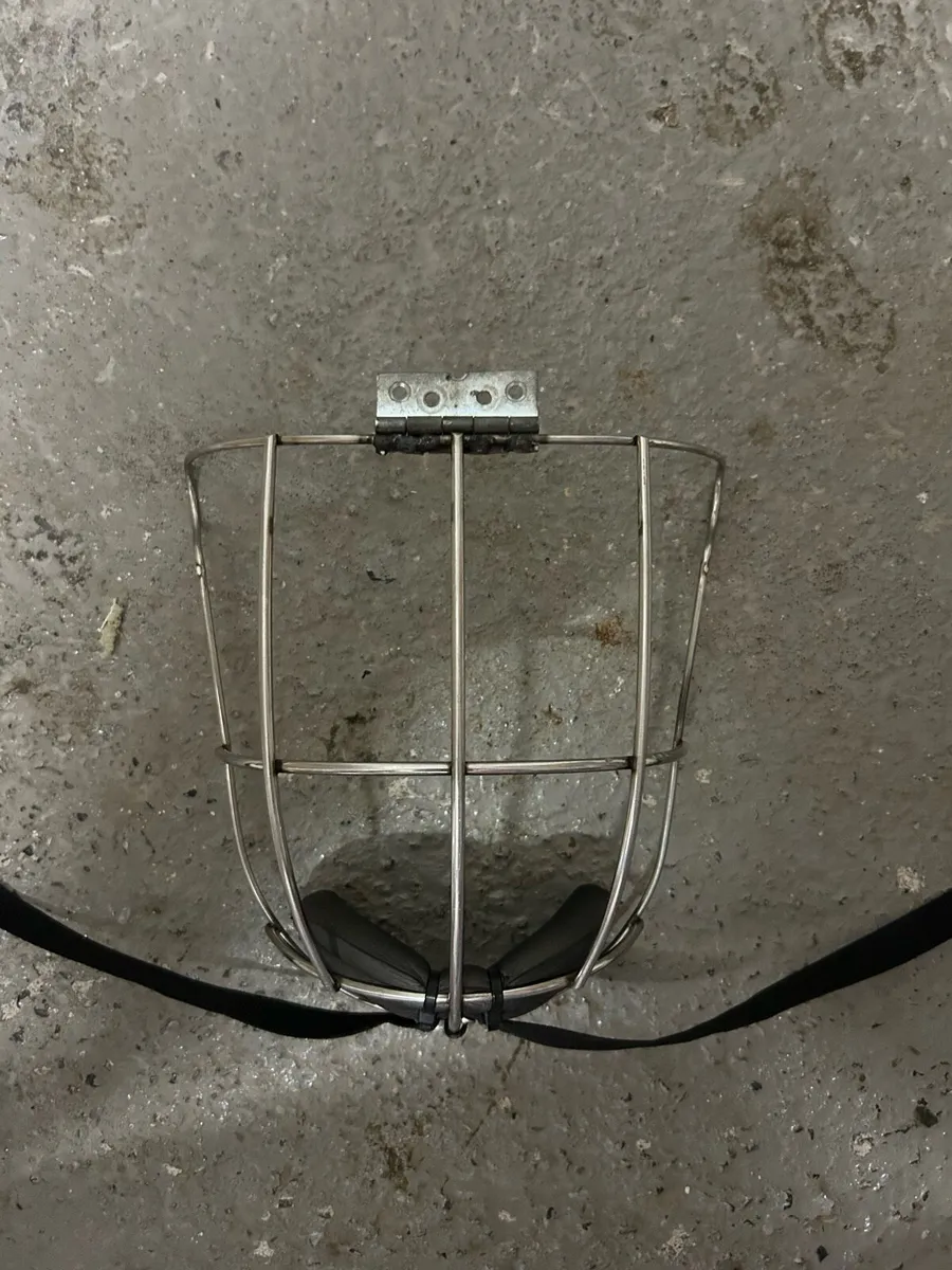 Old style Face Guard - Image 1