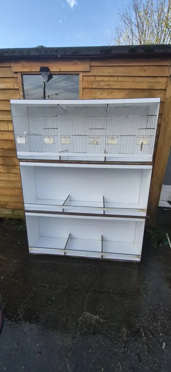 Bird cages - Image 1