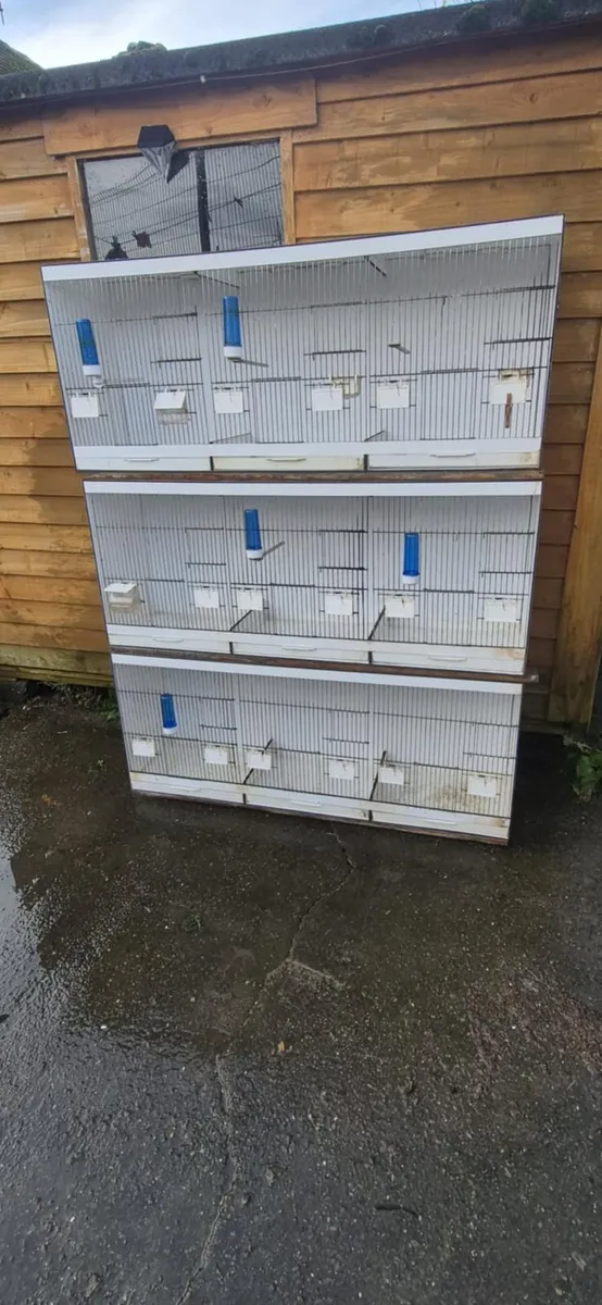 Bird cages - Image 3