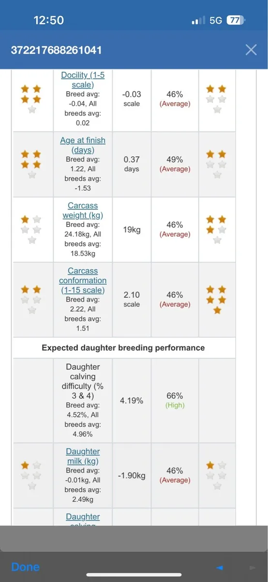 Super easy calving limousin bull - Image 2