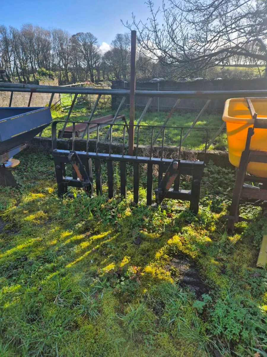 YARD CLEARENCE - Image 3