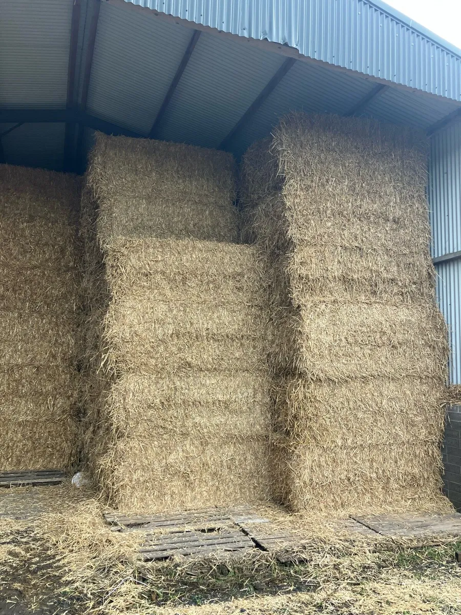 Straw - Image 1