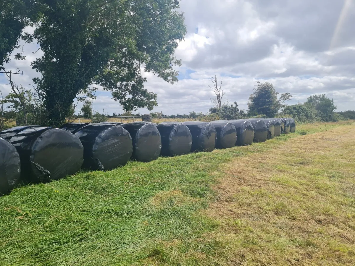 Silage Bales - Image 1