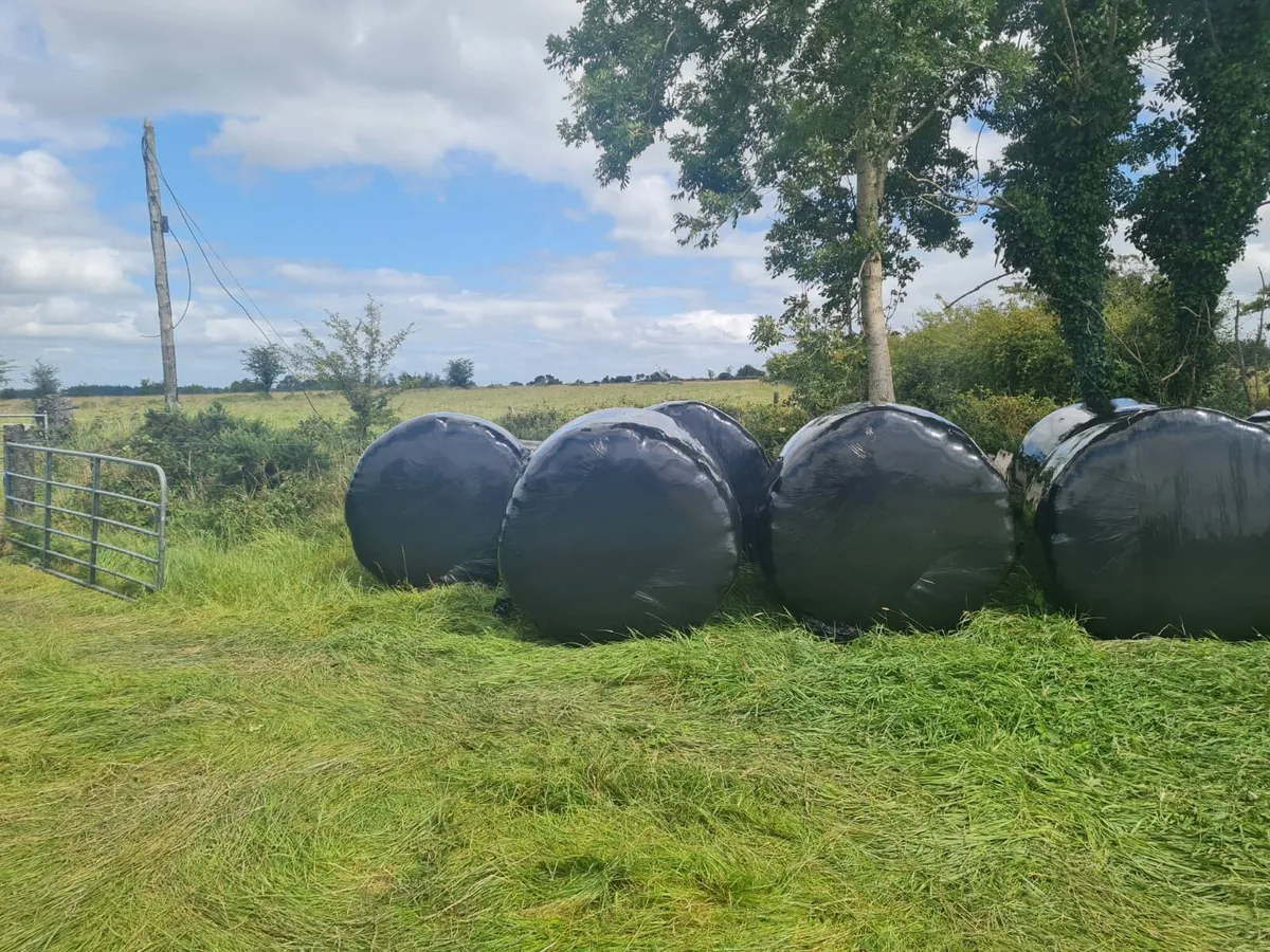 Silage Bales - Image 2