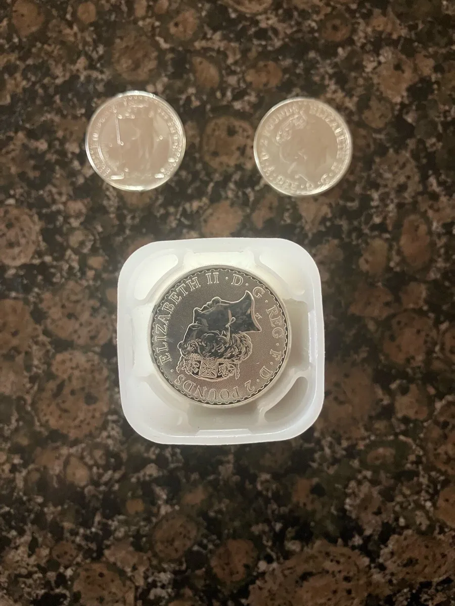 .999 pure Silver bullion coins - Image 4
