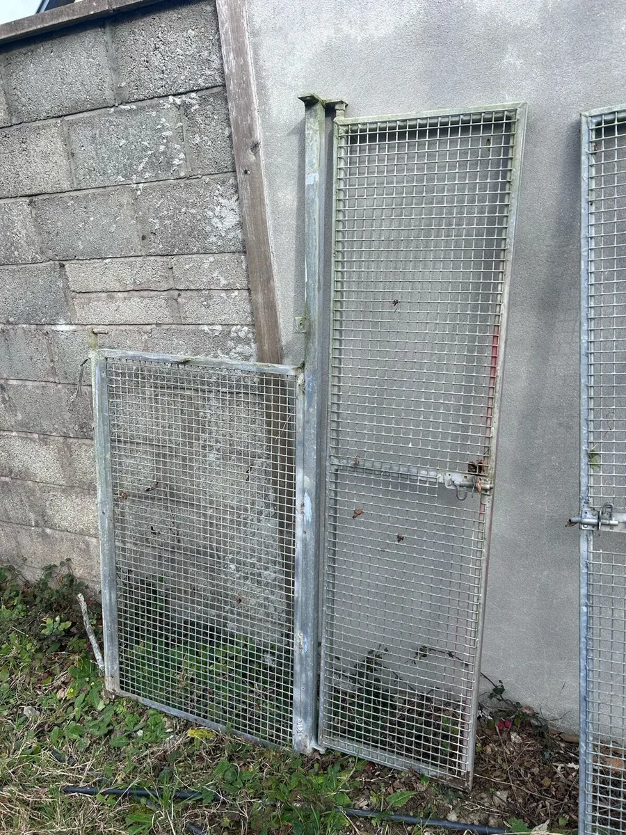 Kennels clear out - Image 3