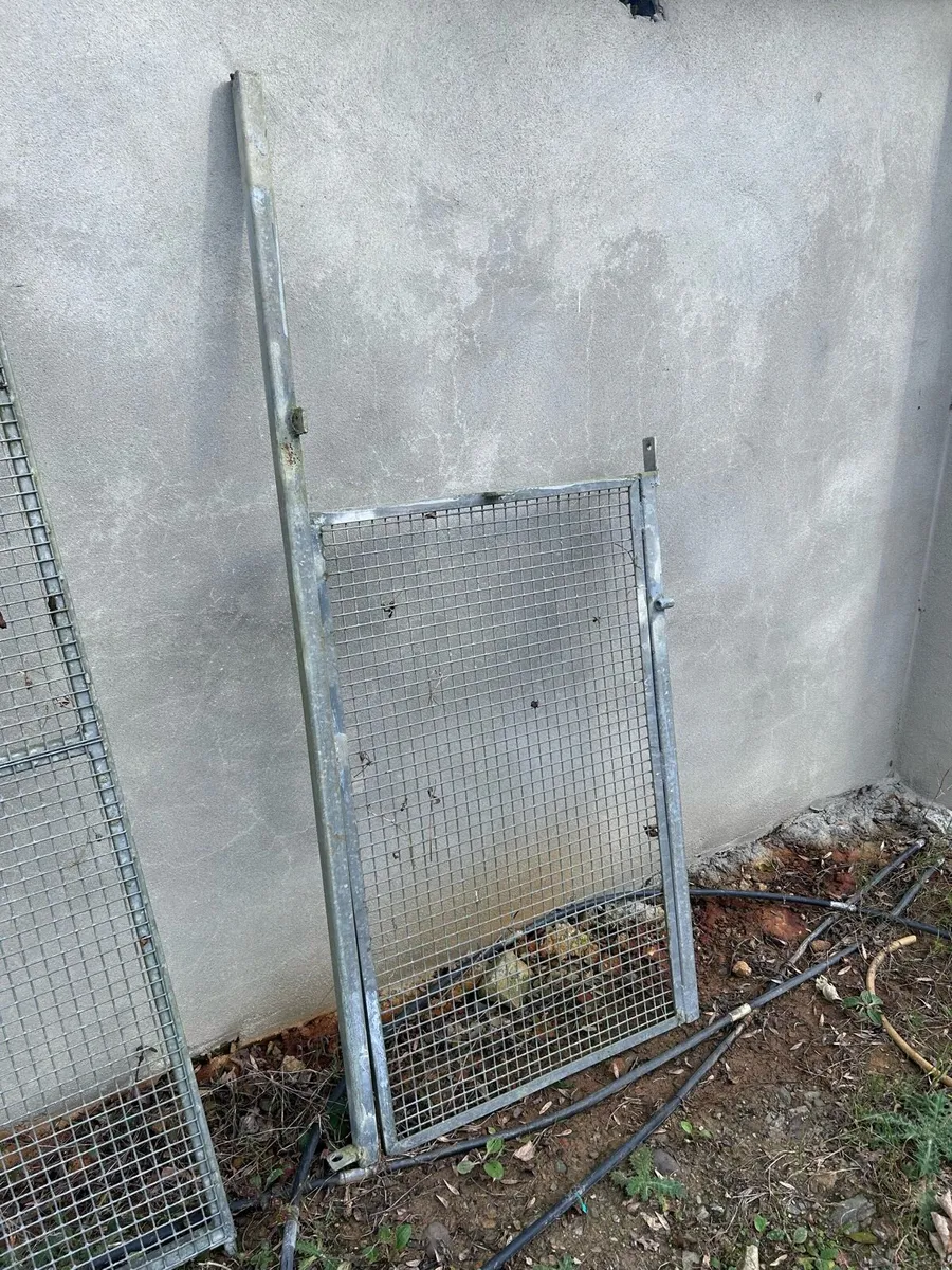 Kennels clear out - Image 4