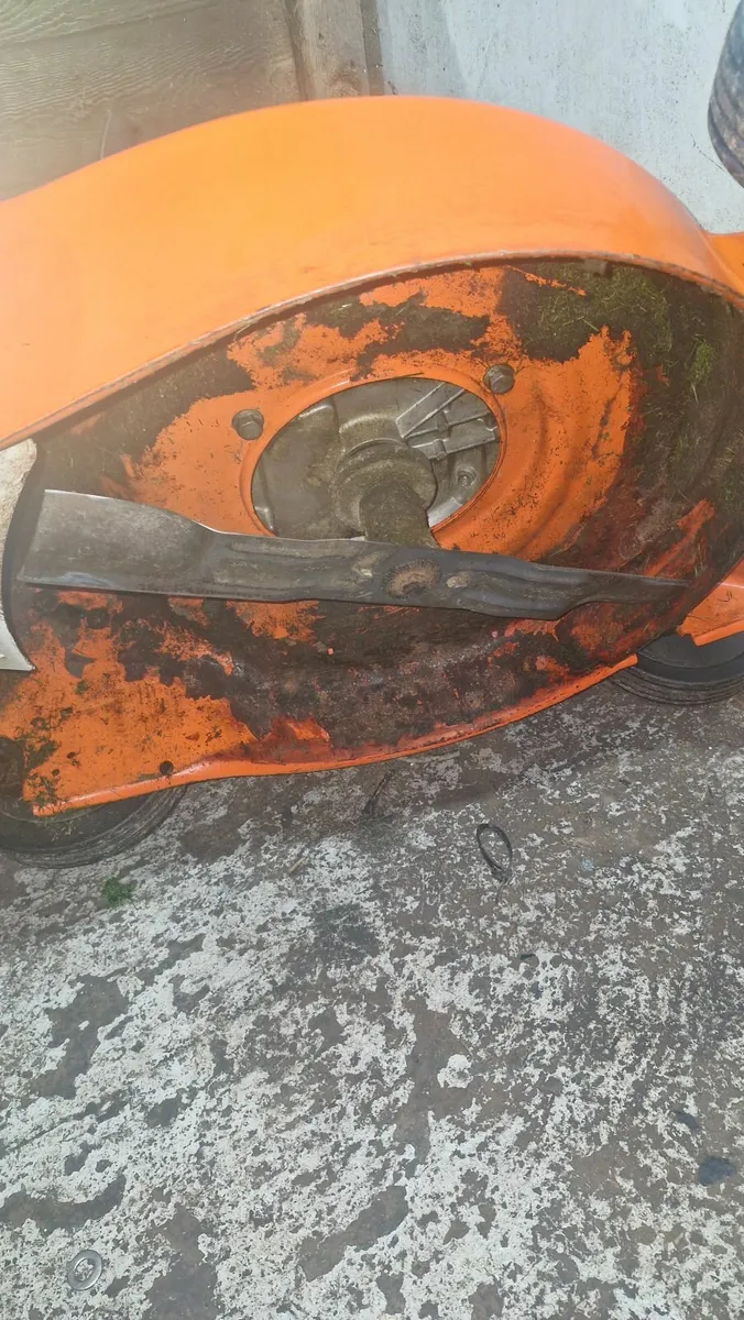 Stihl RM248 Lawnmower - Image 4