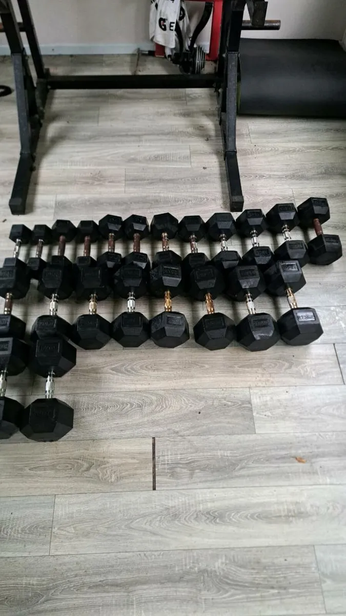 Gym equipment - Image 1