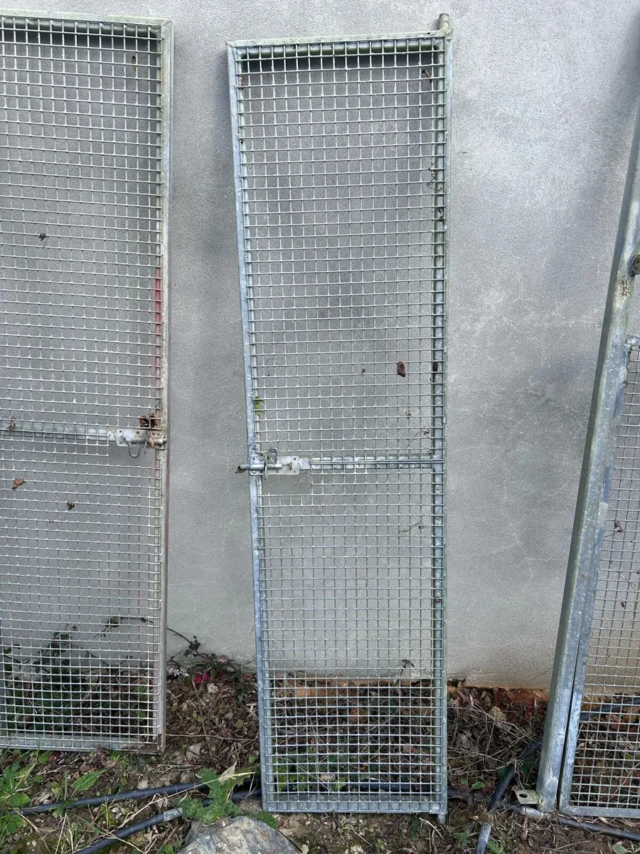 Kennels clear out - Image 2