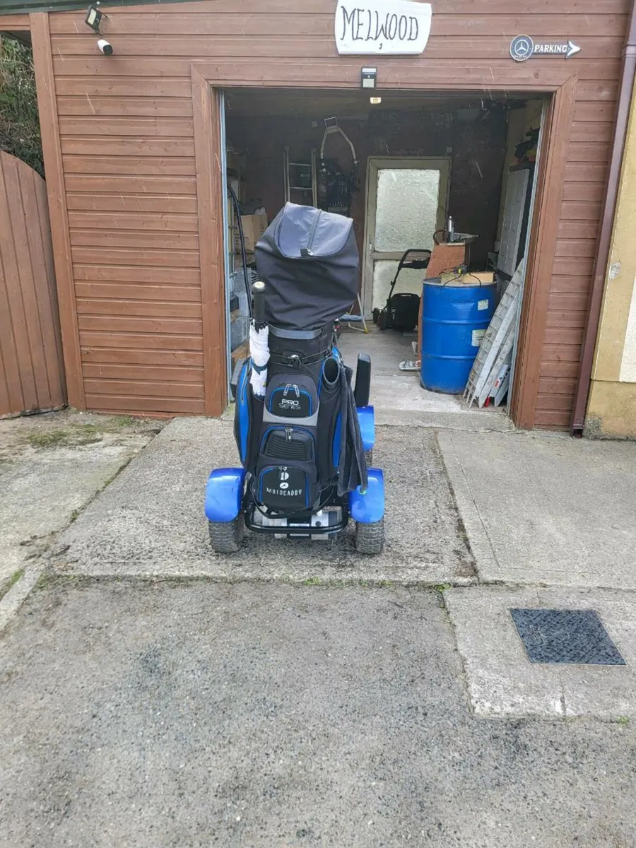 Golf buggy - Image 1