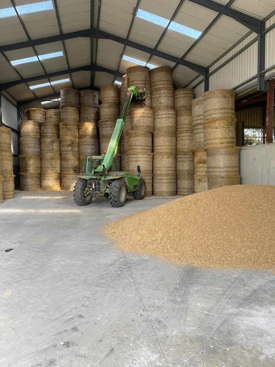 Beet and Straw. - Image 2