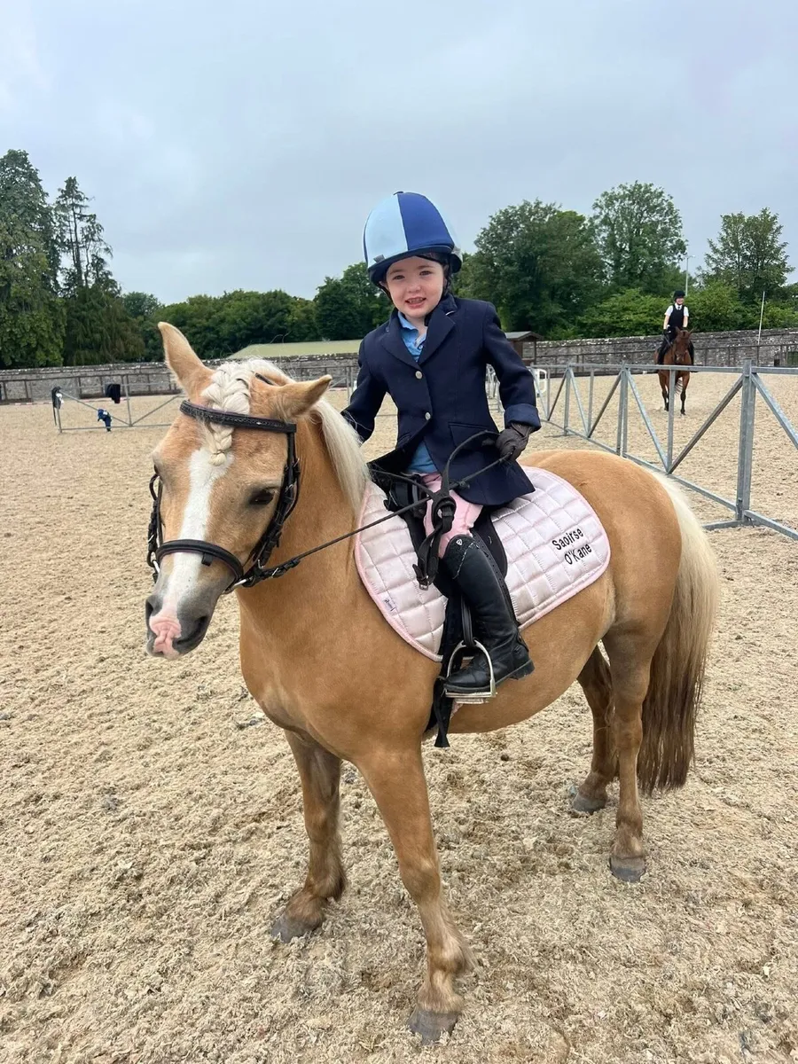 Barbie 12h beautiful lead rein pony ride and drive - Image 1