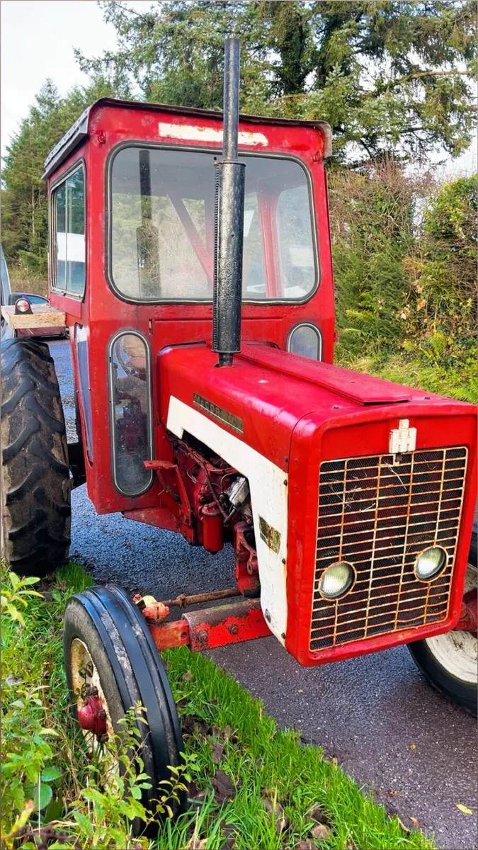 International 434 - Image 2