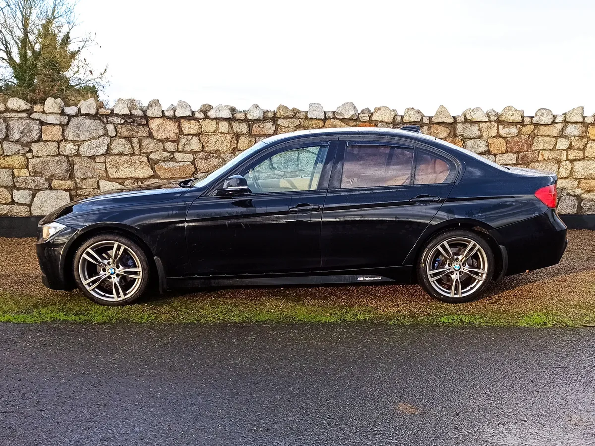 131 BMW 316d 116bhp Manual • MSport kit - Image 4