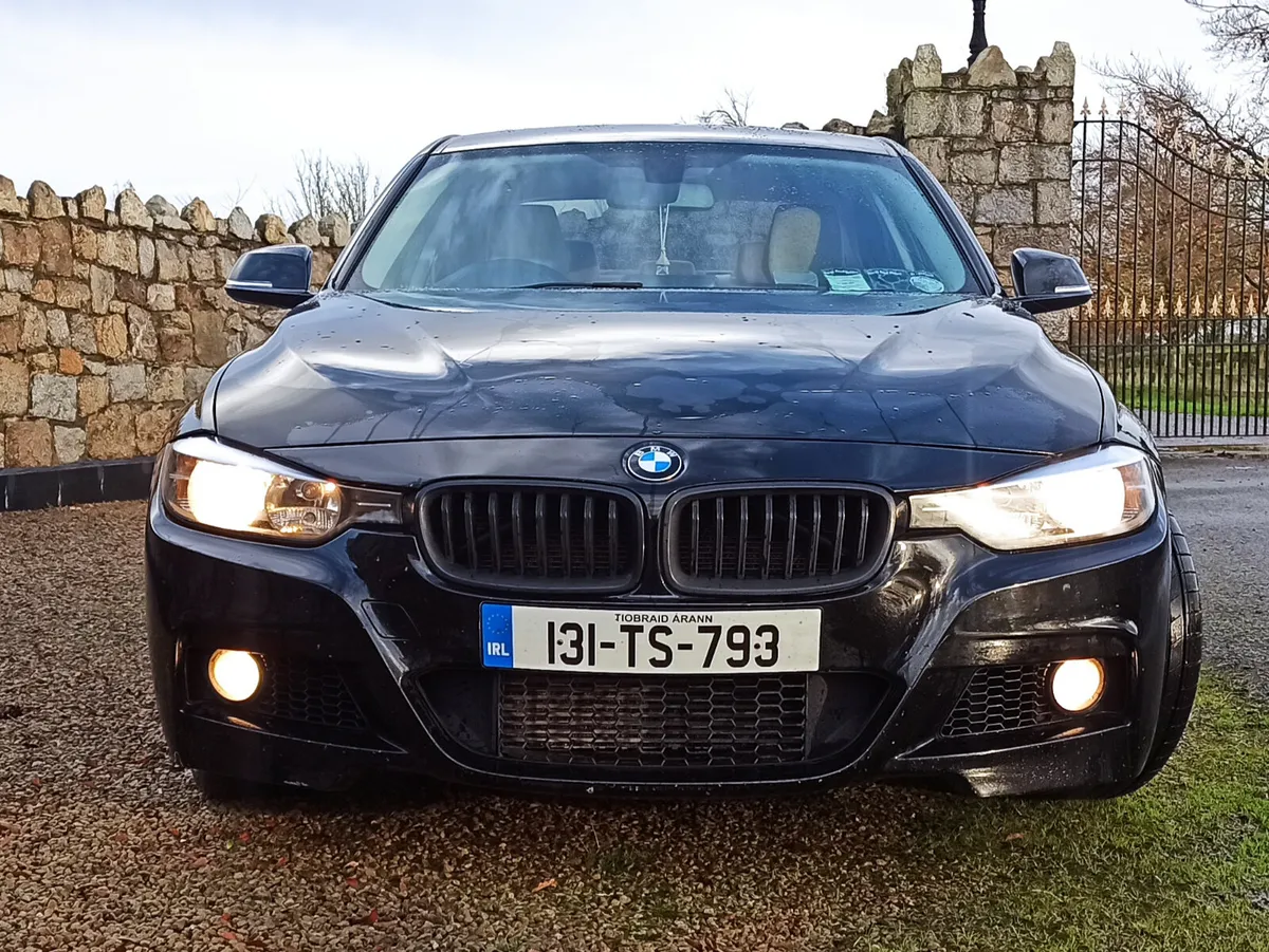 131 BMW 316d 116bhp Manual • MSport kit - Image 2