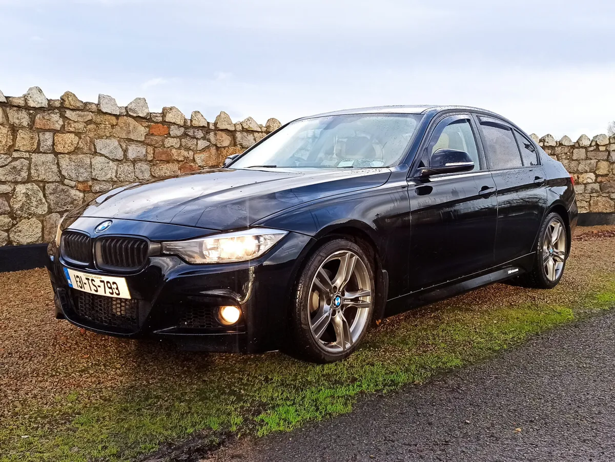 131 BMW 316d 116bhp Manual • MSport kit - Image 3