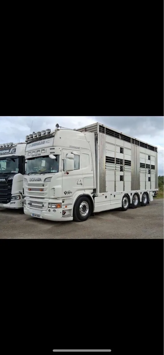Scania R620 Livestock - Image 1