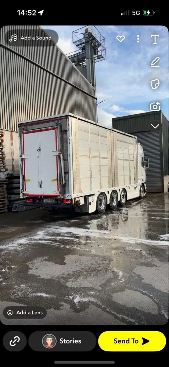 Scania R620 Livestock - Image 3