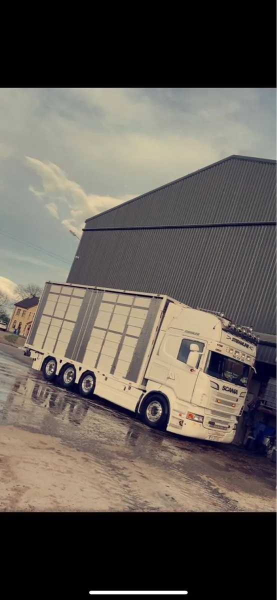 Scania R620 Livestock - Image 4