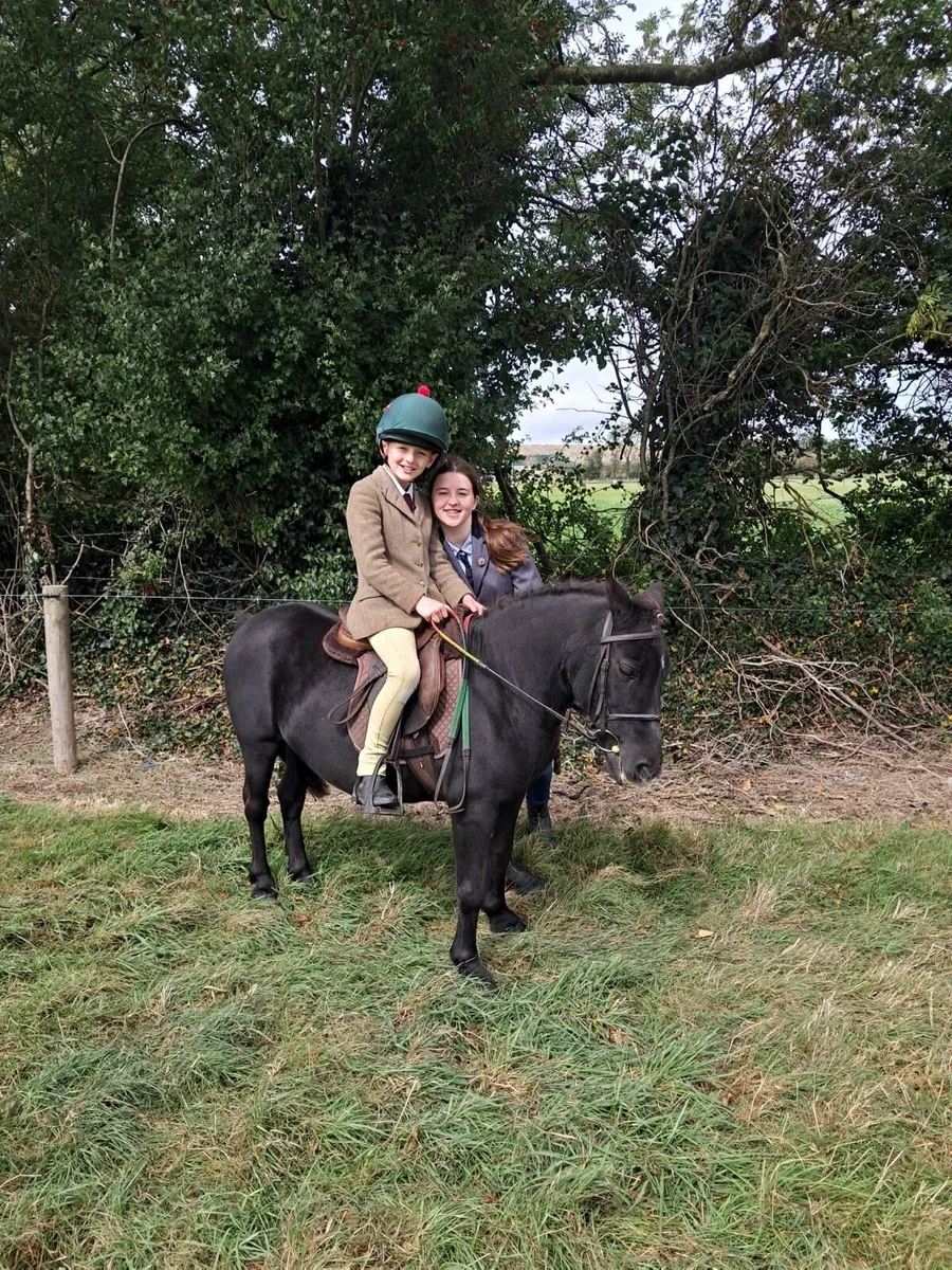 ✨Ollie✨ - Image 1