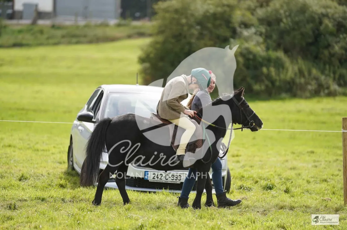 ✨Ollie✨ - Image 2