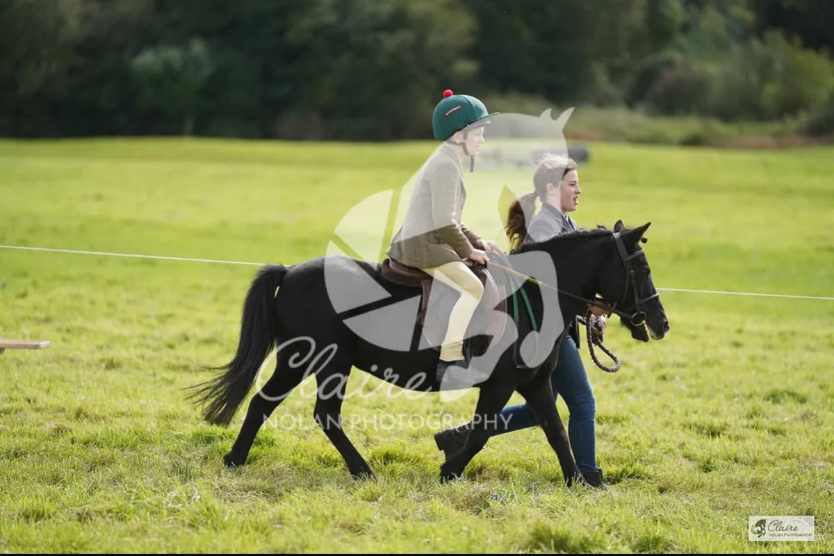 ✨Ollie✨ - Image 3